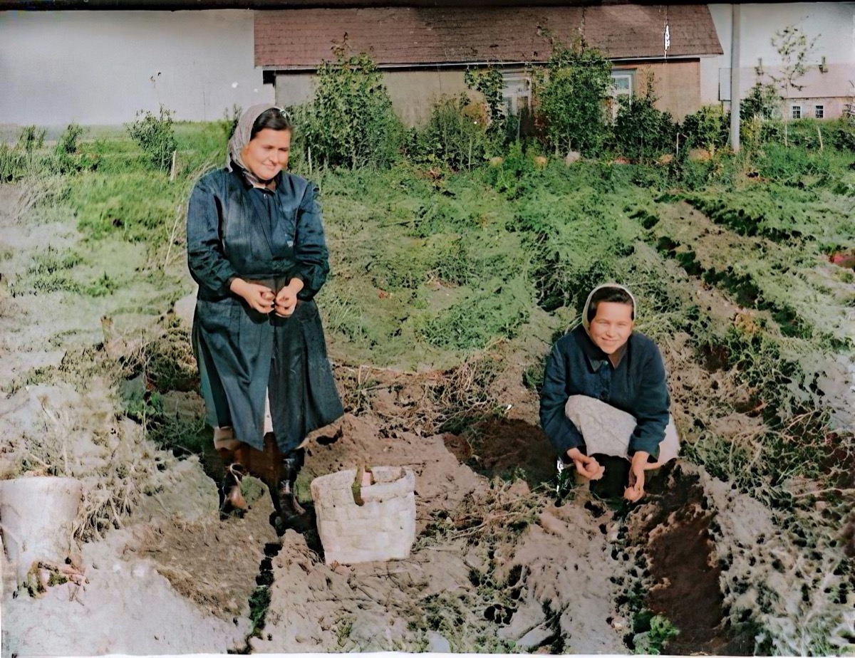 Tanya and Julya digging potatoes